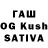 Галлюциногенные грибы GOLDEN TEACHER Yehor_ Makovoz