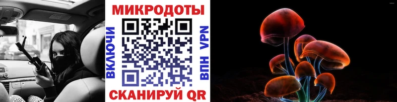 Галлюциногенные грибы Psilocybe  где можно купить наркотик  Родники 